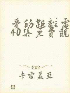 爱的距离电视剧40集免费观看