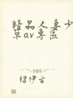 精品人妻少妇嫩草av专区封面