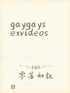 gaygaysexvideos