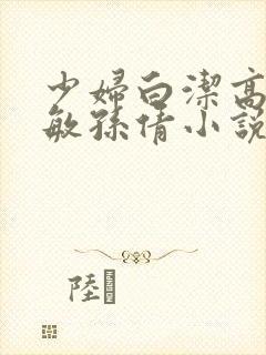 少妇白洁高义张敏孙倩小说