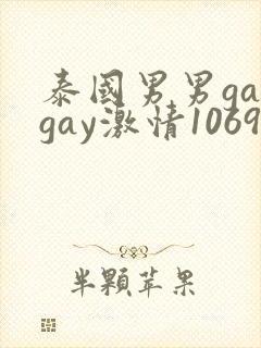 泰国男男gaygay激情1069