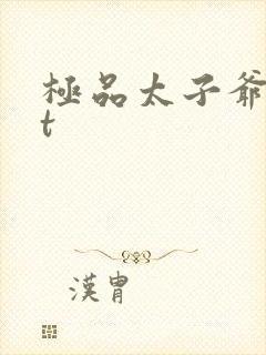 极品太子爷txt