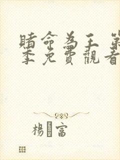 赌命为王 第2季免费观看全集