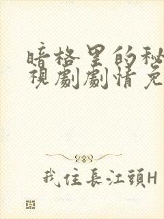 暗格里的秘密电视剧剧情免费观看封面