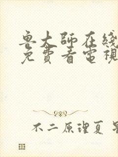 鲁大师在线高清免费看电视剧