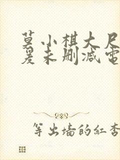 莫小棋大尺度做爰未删减电影封面
