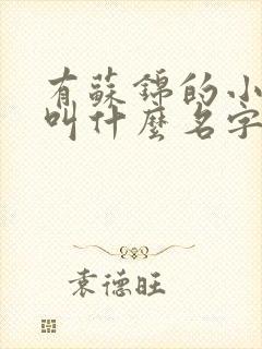 有苏锦的小说是叫什么名字