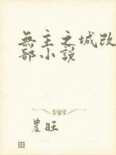 无主之城改编哪部小说封面