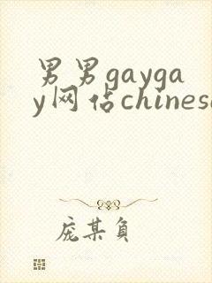 男男gaygay网站chinese封面