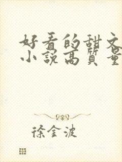 好看的甜文言情小说高质量文笔好
