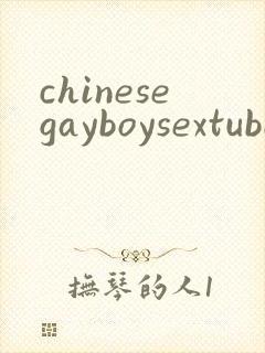 chinesegayboysextube封面