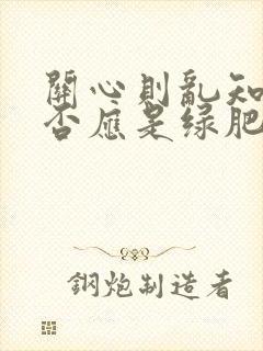 关心则乱知否知否应是绿肥红瘦小说