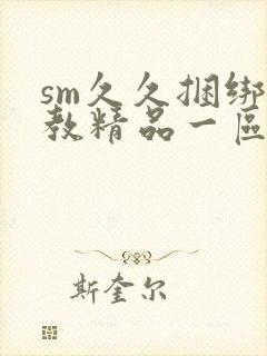 sm久久捆绑调教精品一区