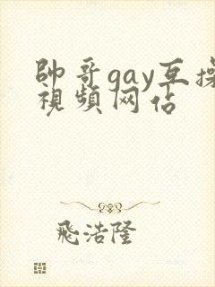 帅哥gay互操视频网站