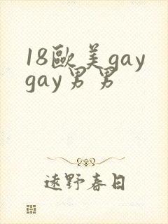 18欧美gaygay男男封面