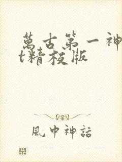 万古第一神txt精校版