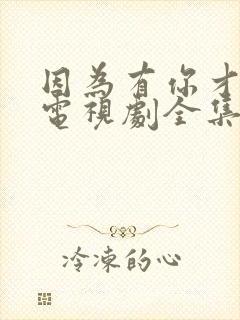 因为有你才有家电视剧全集免费播放在线观看封面