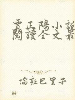 贾正阳小说免费阅读全文最新章节封面