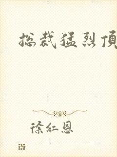 总裁猛烈顶弄h