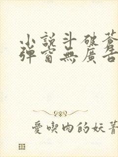 小说斗破苍穹无弹窗无广告