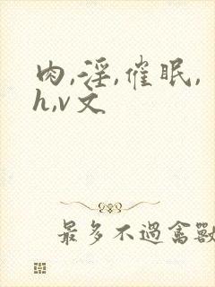 肉,淫,催眠,h,v文