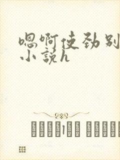 嗯啊使劲别停啊小说h