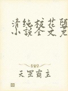 清纯校花堕落记小说全文免费阅读封面