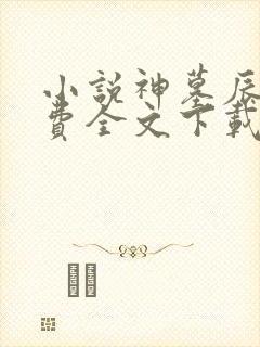 小说神墓辰东免费全文下载