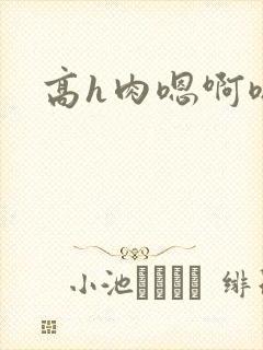 高h肉嗯啊嗯啊