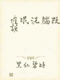 催眠洗脑改造小说