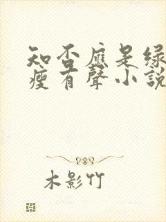 知否应是绿肥红瘦有声小说