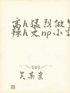 高h猛烈做哭高辣h文np小说封面