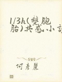 1/3h(双胞胎)共感小说