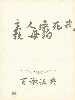 主人操死我 调教 母狗封面