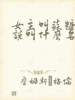 女主叫苏糖的小说叫什么名字