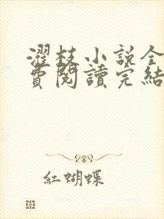 濯枝小说全文免费阅读完结封面