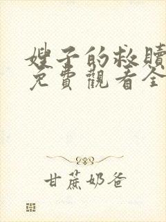 嫂子的救赎日剧免费观看全集中文封面