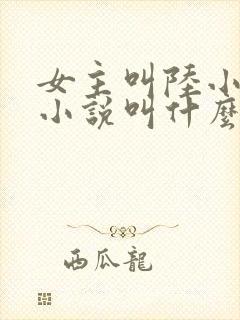女主叫陆小小的小说叫什么名字