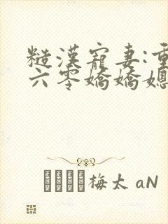 糙汉宠妻:重生六零娇娇媳