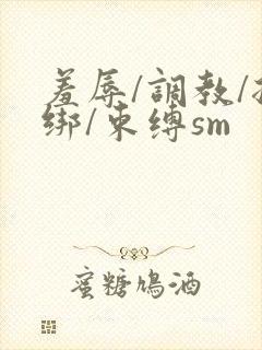 羞辱/调教/捆绑/束缚sm