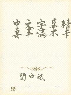 中文字幕精品人妻丰满不卡