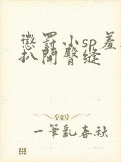 惩罚小sp羞耻扒开臀缝