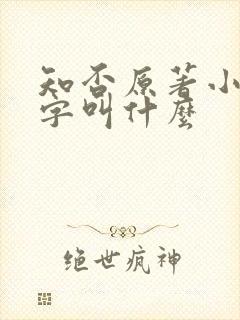 知否原著小说名字叫什么