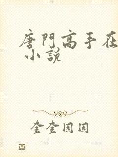 唐门高手在异世 小说