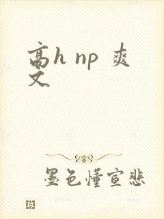 高h np 爽文