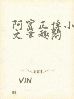 阿宾正传小说全文笔趣阁