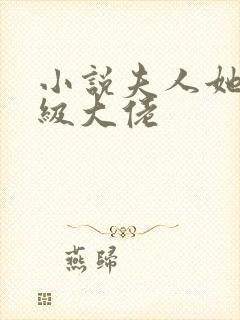 小说夫人她是满级大佬