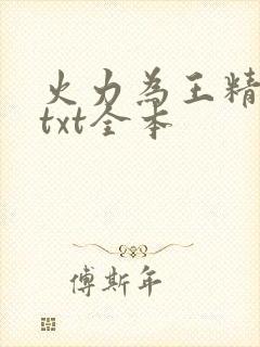 火力为王精校版txt全本封面