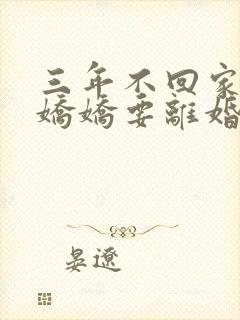 三年不回家七零娇娇要离婚免费阅读