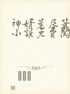 神婿叶辰萧初然小说免费阅读